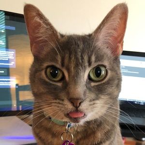 Meet your Posher, Kaytie